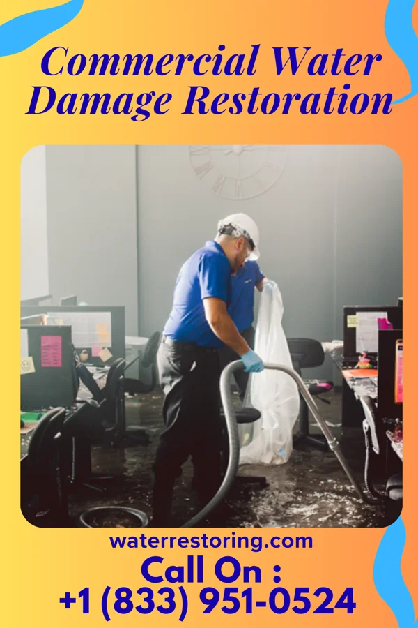 Commercial Water Damage Restoration in Westmoreland, TN