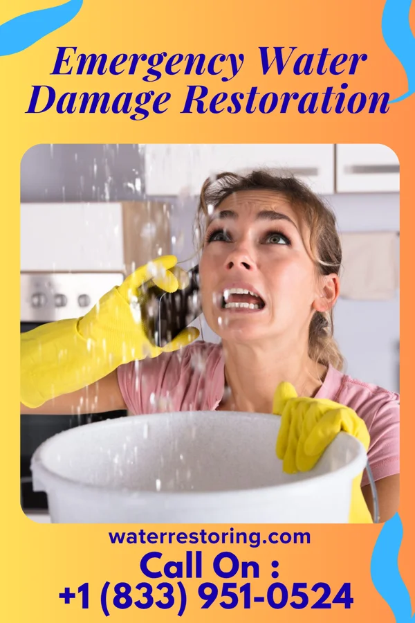 Emergency Water Damage Restoration in Westmoreland, TN